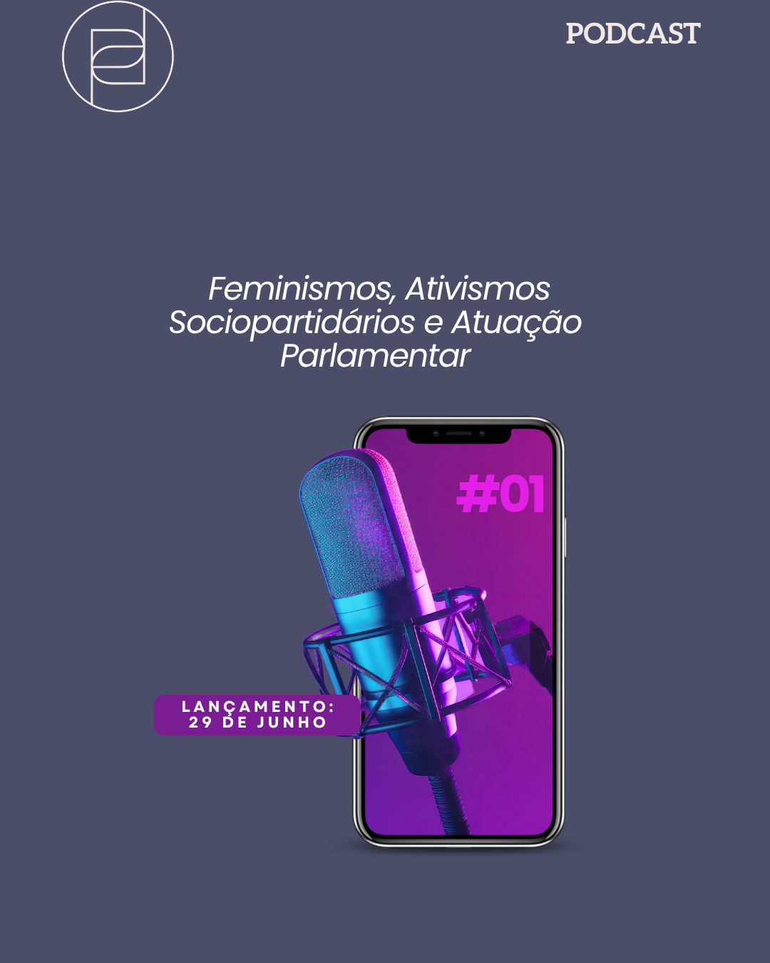 Vem aí: Feminismos, Ativismos e Atuação Parlamentar