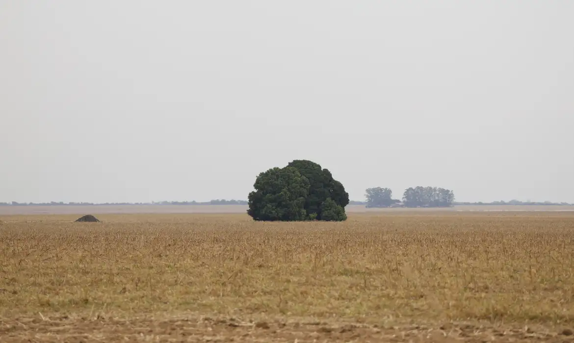 _d6a9429_0.webp